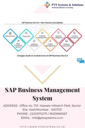 Where Is The Best Sap Business Management System